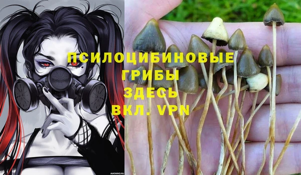 мескалин Козельск