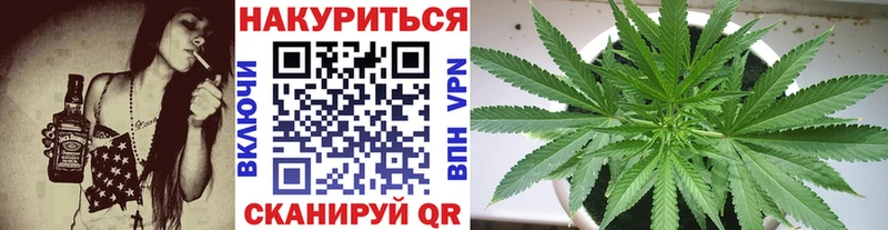 KRAKEN вход  Новая Ладога  Каннабис планчик 